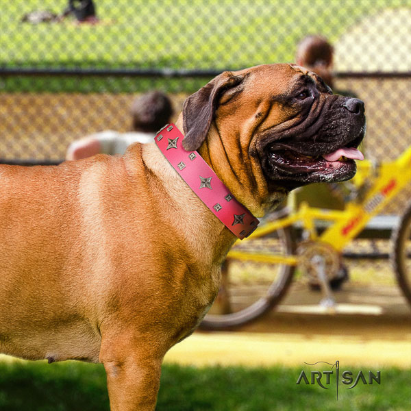Bullmastiff exquisite full grain leather dog collar with adornments for comfortable wearing