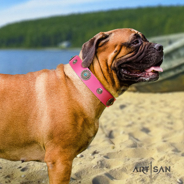 Bullmastiff stylish genuine leather dog collar with studs for walking