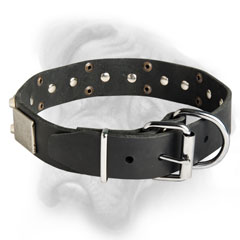 Bullmastiff dog collar with riveted plates and pyramids