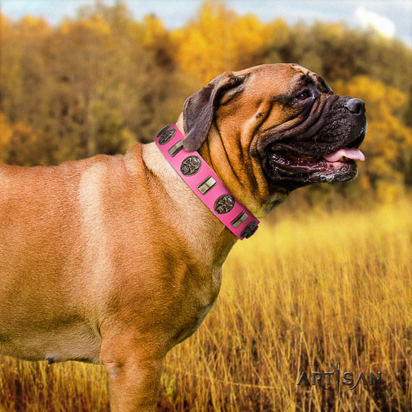 Bullmastiff handy use full grain leather collar with adornments for your dog