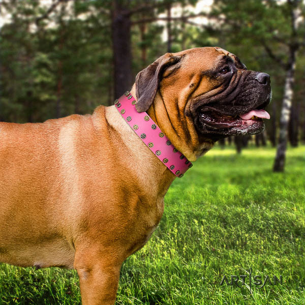 Bullmastiff walking full grain leather collar with adornments for your pet