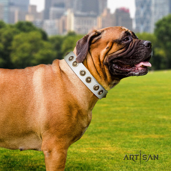 Bullmastiff comfortable wearing genuine leather collar with decorations for your pet