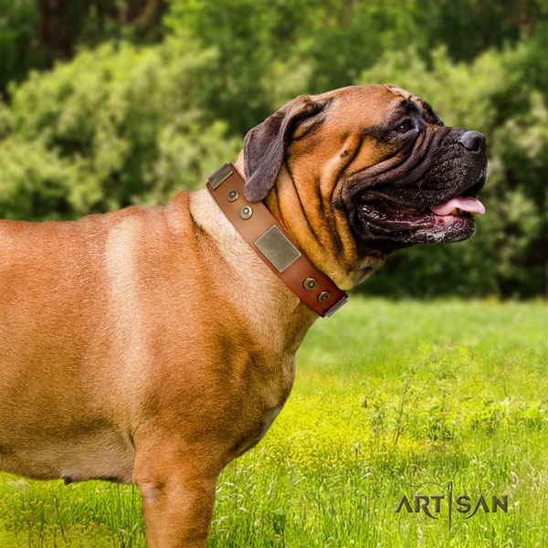 Bullmastiff embellished genuine leather dog collar for your beautiful pet