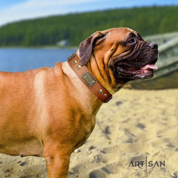 Bullmastiff adorned leather dog collar for your handsome dog