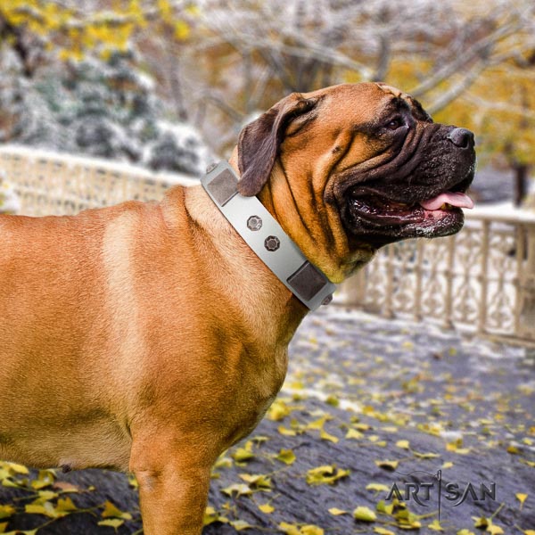Bullmastiff exceptional full grain leather collar with embellishments for your four-legged friend