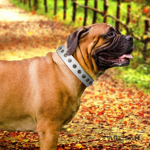 Bullmastiff handmade full grain genuine leather collar with decorations for your canine