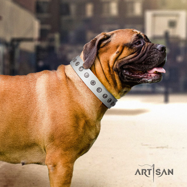 Bullmastiff unusual genuine leather collar with adornments for your canine