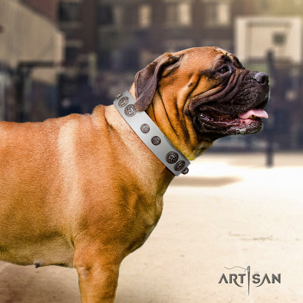Bullmastiff perfect fit full grain leather collar with studs for your doggie