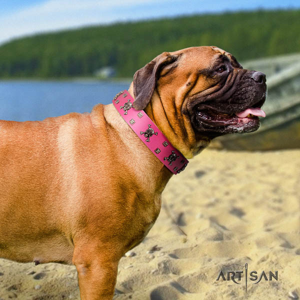 Bullmastiff unusual full grain leather collar with studs for your dog