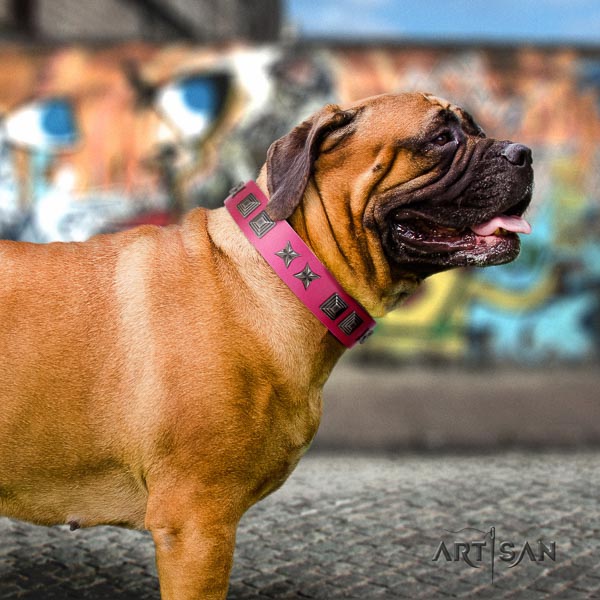 Bullmastiff comfortable full grain leather collar with studs for your dog