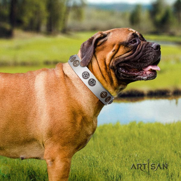 Bullmastiff exceptional natural genuine leather collar with embellishments for your doggie