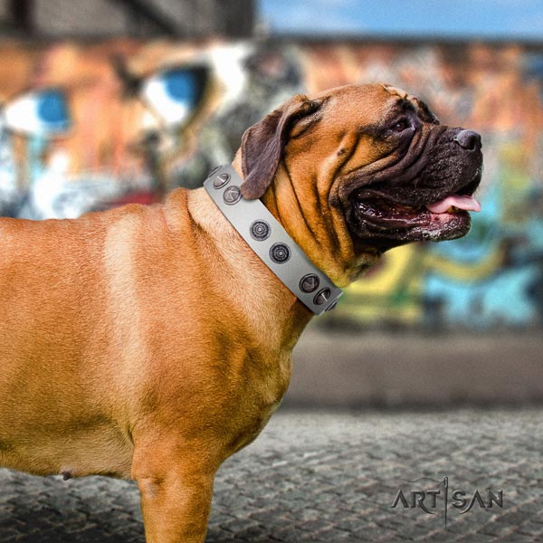 Bullmastiff amazing leather collar with embellishments for your canine