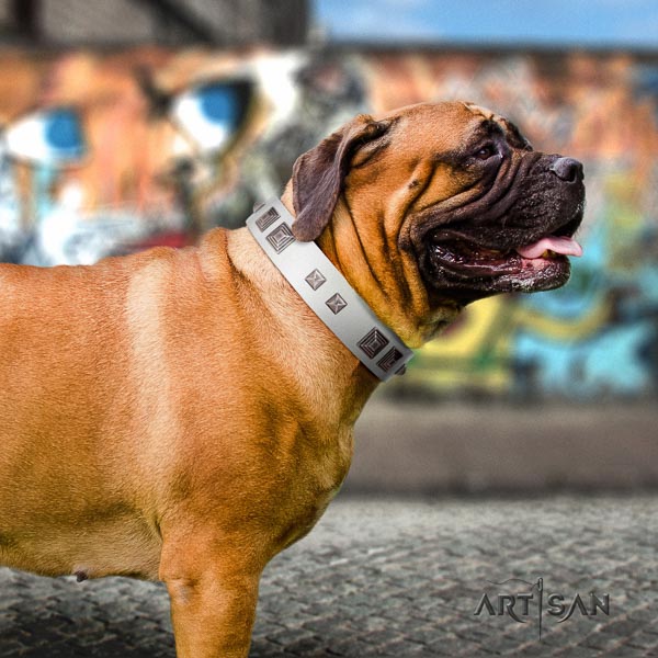 Bullmastiff unique leather collar with adornments for your four-legged friend