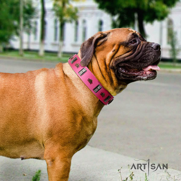 Bullmastiff top quality full grain leather collar with embellishments for your canine