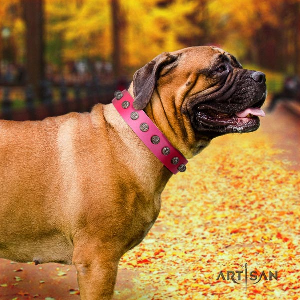 Bullmastiff top quality full grain genuine leather collar with decorations for your canine