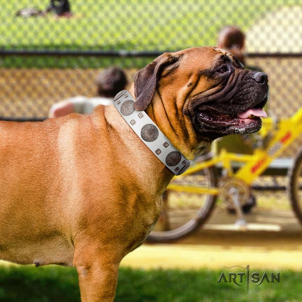 Bullmastiff remarkable full grain leather collar with embellishments for your pet
