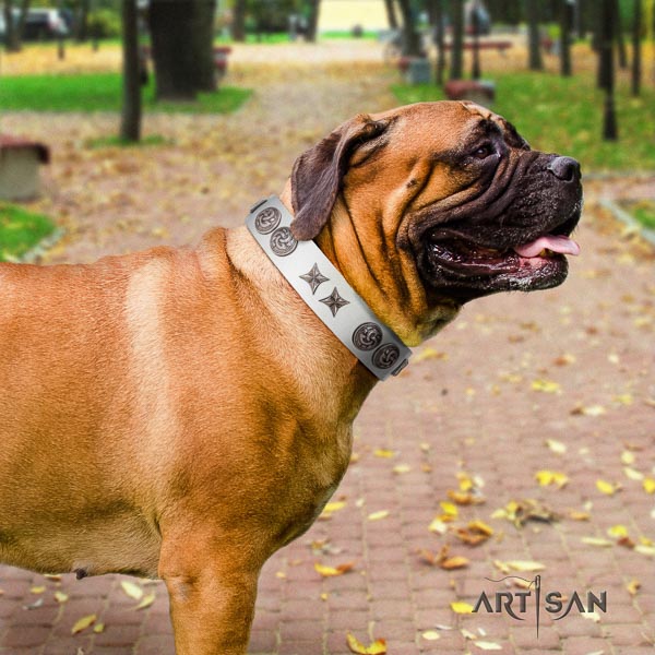 Bullmastiff top quality genuine leather collar with embellishments for your pet