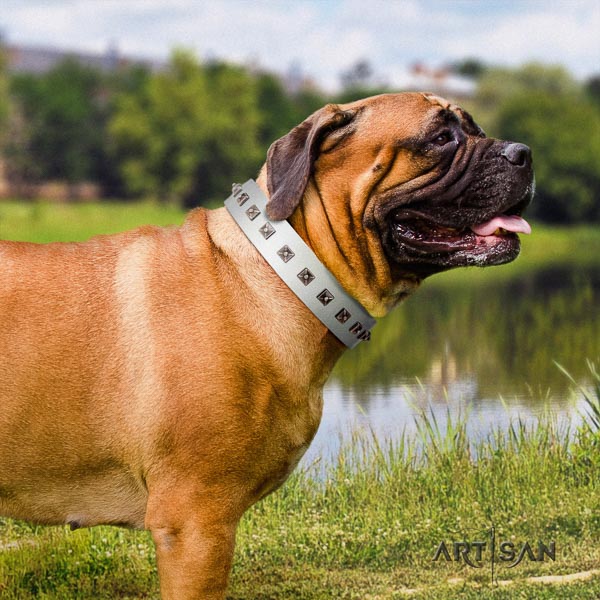 Bullmastiff unique leather collar with studs for your four-legged friend