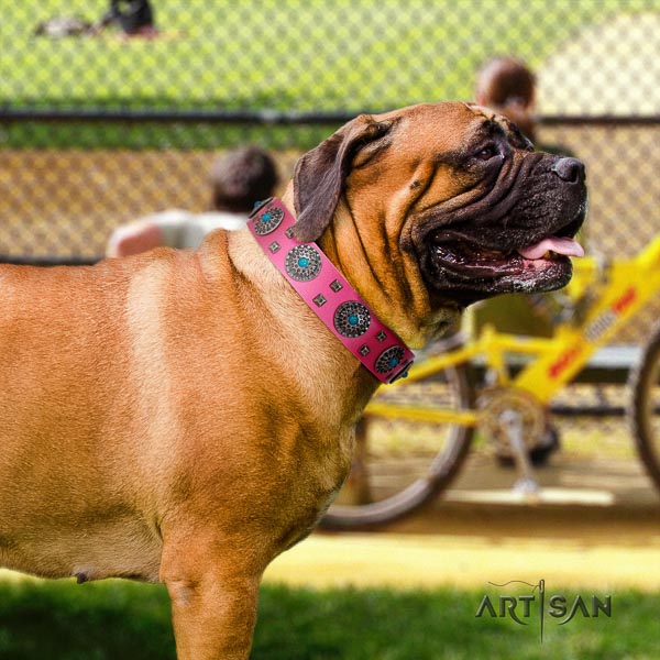 Bullmastiff top notch full grain leather collar with adornments for your doggie