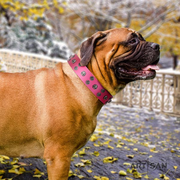 Bullmastiff exceptional full grain genuine leather collar with studs for your pet
