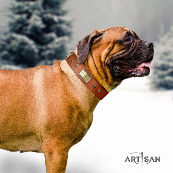 Bullmastiff embellished genuine leather dog collar for your handsome four-legged friend