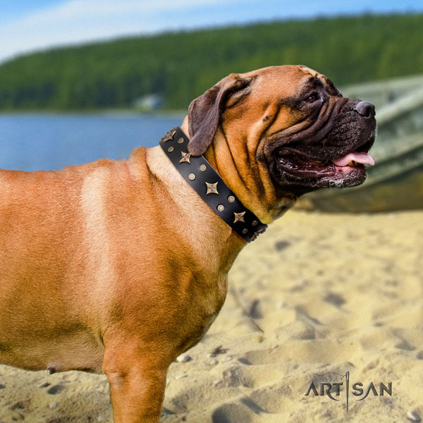 Bullmastiff adorned natural genuine leather dog collar for your lovely pet