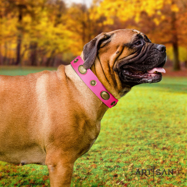 Bullmastiff full grain leather dog collar with decorations for your lovely canine