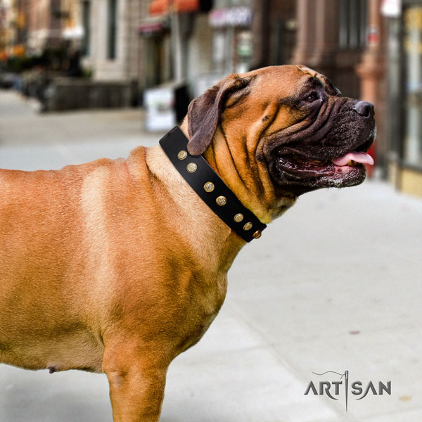 Bullmastiff embellished full grain genuine leather dog collar for your attractive pet