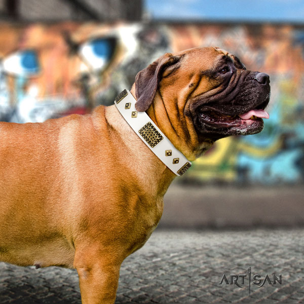 Bullmastiff embellished natural genuine leather dog collar for your stylish doggie