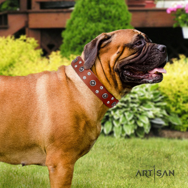 Bullmastiff embellished full grain natural leather dog collar for your stylish dog