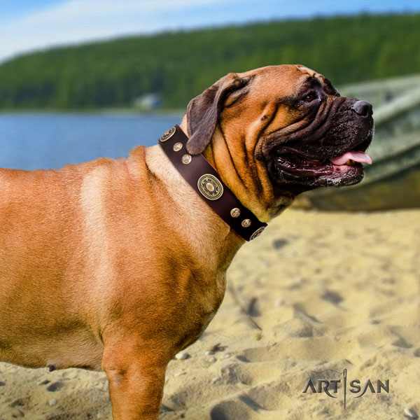 Bullmastiff decorated natural genuine leather dog collar for your beautiful canine