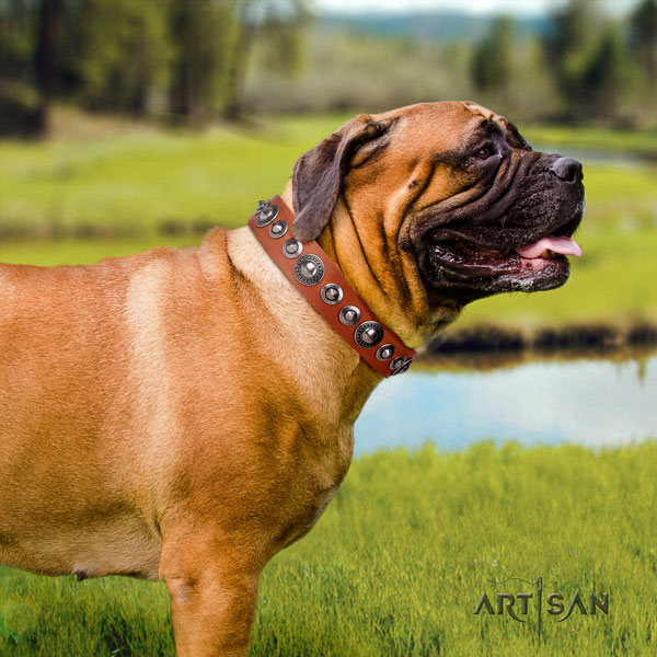 Bullmastiff decorated full grain leather dog collar for your impressive dog