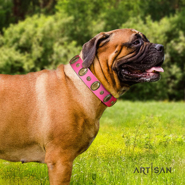 Bullmastiff everyday walking full grain leather collar with decorations for your four-legged friend