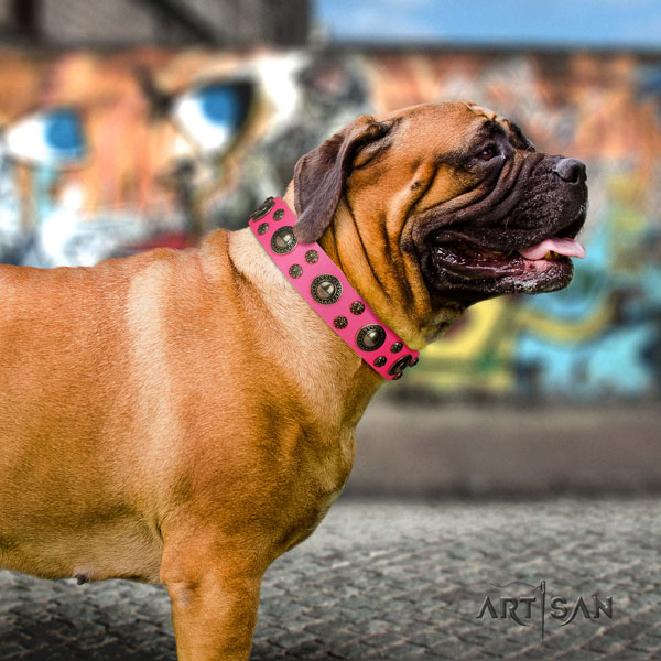 Bullmastiff adorned leather dog collar for your attractive dog