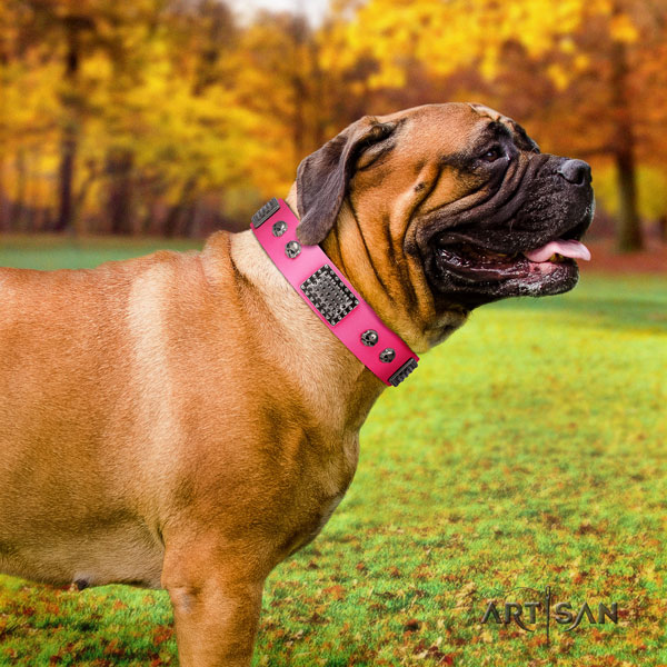 Bullmastiff studded full grain natural leather dog collar for your handsome doggie