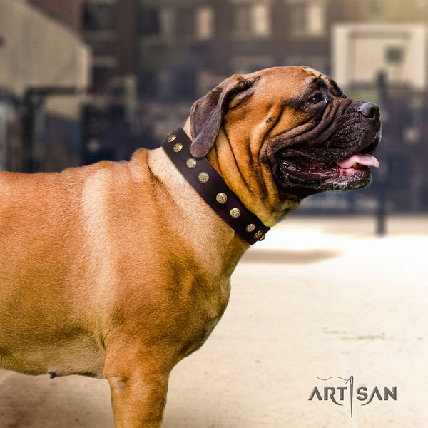 Bullmastiff embellished full grain leather dog collar for your impressive dog