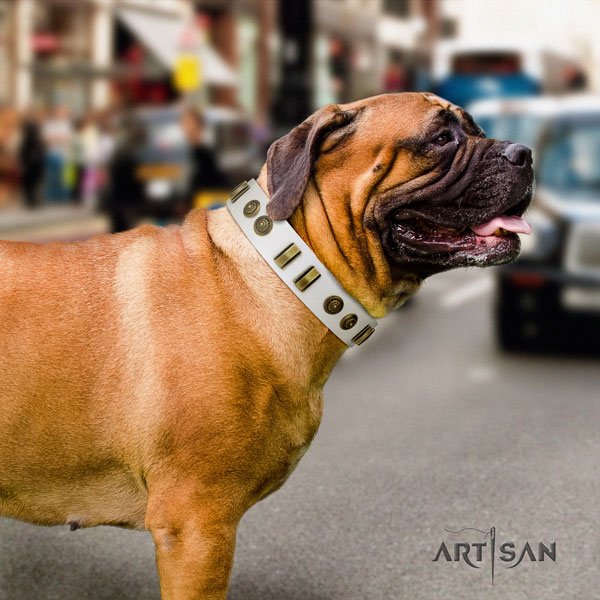 Bullmastiff natural genuine leather dog collar with adornments for your handsome doggie