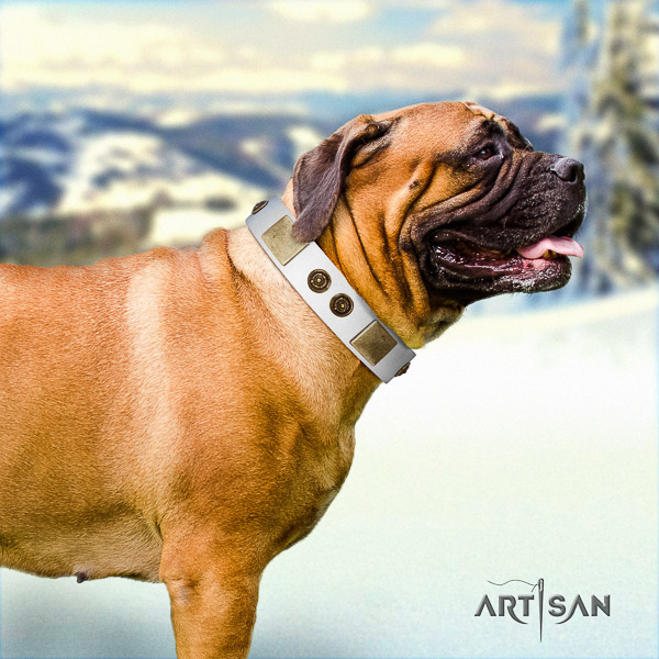Bullmastiff comfortable wearing natural leather collar with decorations for your doggie