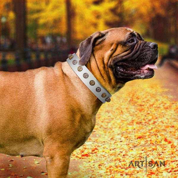 Bullmastiff extraordinary full grain genuine leather collar with studs for your four-legged friend