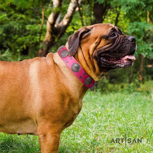 Bullmastiff perfect fit genuine leather collar with adornments for your doggie