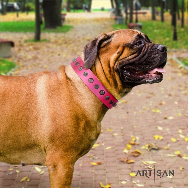Bullmastiff easy wearing genuine leather collar with studs for your four-legged friend