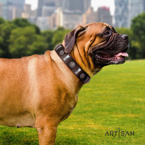 Bullmastiff impressive natural genuine leather collar with embellishments for your doggie