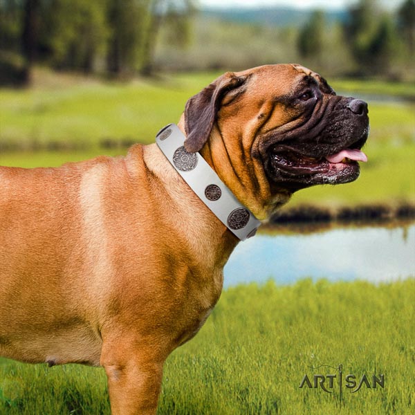Bullmastiff easy to adjust full grain natural leather collar with adornments for your pet