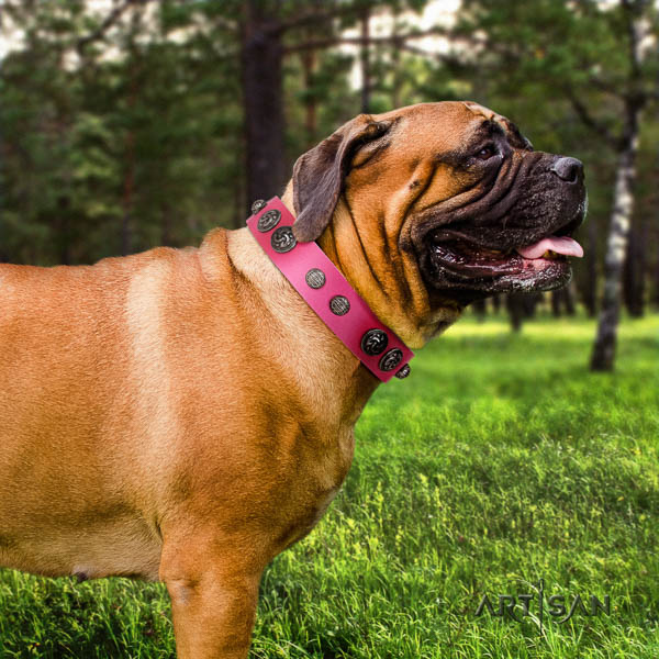 Bullmastiff easy wearing genuine leather collar with embellishments for your dog