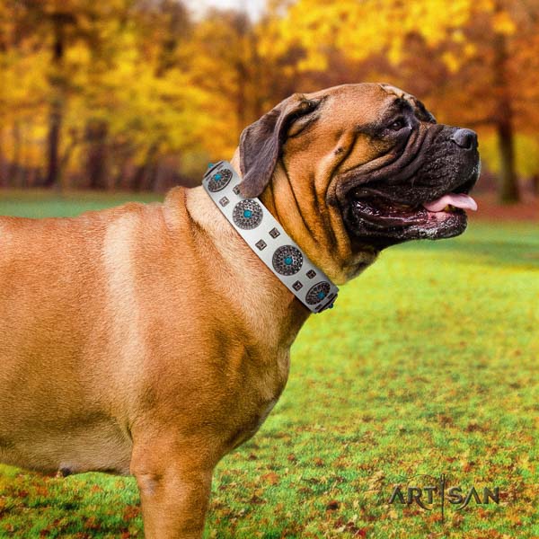 Bullmastiff top notch full grain natural leather collar with studs for your pet