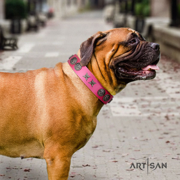 Bullmastiff stylish full grain leather collar with embellishments for your dog