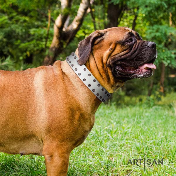 Bullmastiff exquisite genuine leather collar with embellishments for your doggie