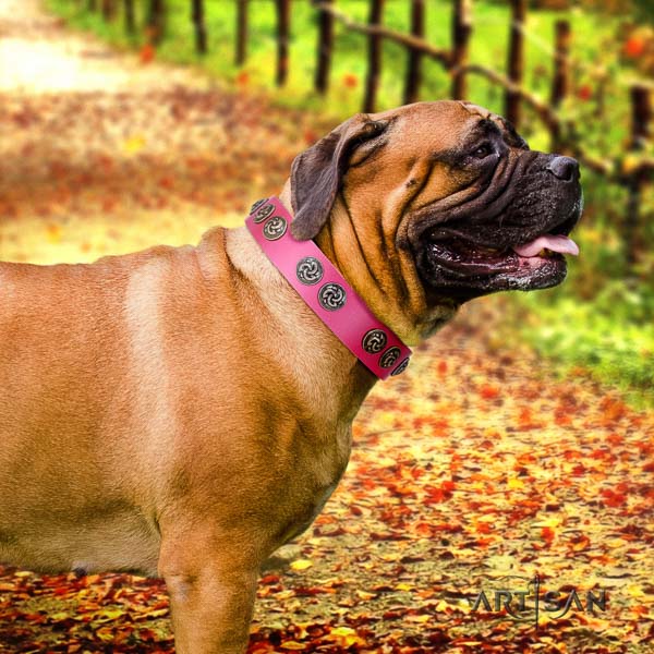 Bullmastiff adjustable full grain genuine leather collar with decorations for your pet