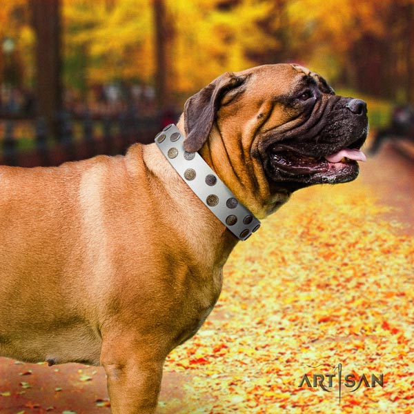Bullmastiff trendy leather collar with embellishments for your four-legged friend