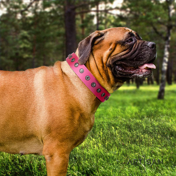 Bullmastiff easy adjustable natural genuine leather collar with studs for your canine